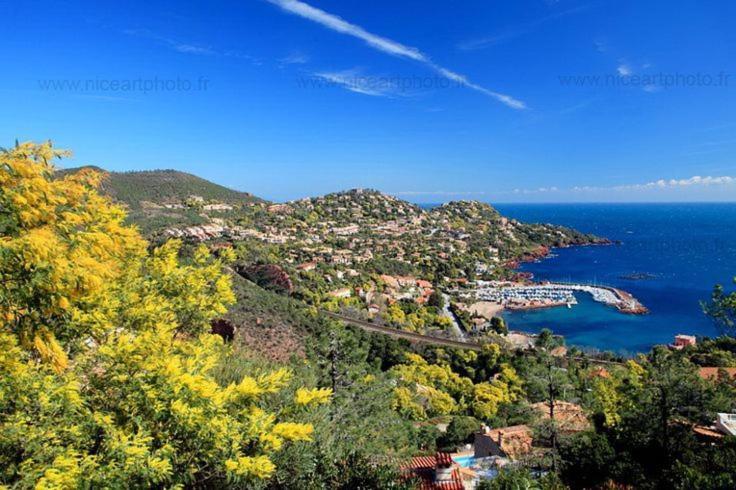 Studio 4P Vue Mer Calme Cap Esterel Saint-Raphael  Exterior photo